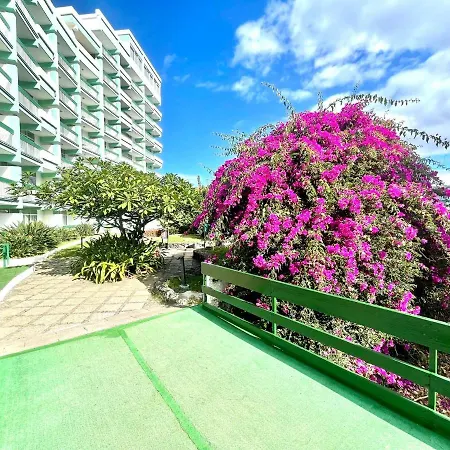 Estudio E, FREE Wifi, próxima comercios y restaurante en Puerto de la Cruz Apartamento