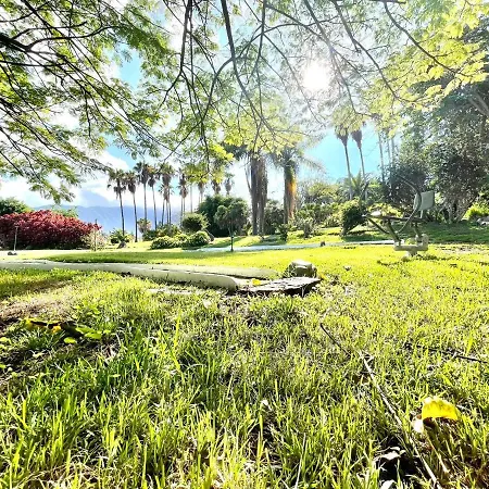 Estudio E, Free Wifi, Proxima Comercios Y Restaurante En Puerto De La Cruz Puerto de la Cruz (Tenerife)